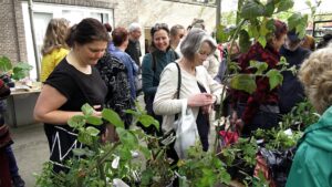 Plantenruilbeurs in de Hortus Botanicus