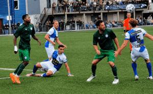 Delftse Dribbels: ook Wippolder gaat door